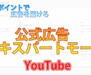 YouTube広告出稿Epモードコンサルをします ご自身で広告視聴者を選べるエキスパートモード イメージ1