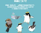 鳥イラスト描きます あなたの「推し鳥」を可愛く描きます！ イメージ5