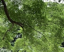 霊感⭐️ルノルマン『恋愛鑑定』お相手の本音占います 今後の新展開❤︎恋愛・不倫・復縁など♦︎恋の行方♪ イメージ2
