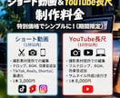 様々なジャンルの動画編集を丁寧に仕上げます 【初心者・丸投げOK】カット・テロップ・BGM挿入まで対応！ イメージ3
