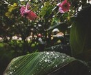 だれにも知られない関係だからこそ聴けます 気持ちを整理したい方へのプランしずくが静かに寄り添います イメージ5