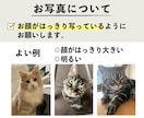お家の猫ちゃんわんちゃん鉛筆で描きます 【現在170枚】原画＋画像データお届け！ イメージ6