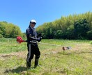 あなたの夢を実現する応援、お手伝いをします 。理想の自分になるために、コーチングを使って時短しましょう イメージ4