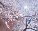 低価格で鑑定します 低価格でひとつと物事に対して時間をかけて鑑定します イメージ1