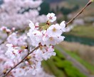 エモい写真、動画作りたい方、私がやります 安い、早い、上手いこれを満たすサービスを提供します！ イメージ2