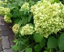 あなたにぴったりの本をおすすめします 本好きがすすめる本はご興味ありますか？ イメージ1