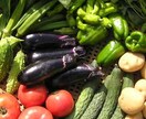 自然栽培の技術教えます 野菜やお米を作ってみたいあなたへ イメージ1