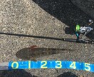 初心者向けのルアーフィッシング道具を選びます 1本のロッドで【なんでも釣りたい】欲張りさん必見です！ イメージ9