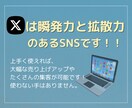 １週間お試し！X(Twitter)運用します 現役プロマーケターが目的に合わせた運用をサポートします！ イメージ3