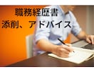 職務経歴書の添削、作成サポートいたします 採用人事目線で、目を惹く書類に磨き上げます！ イメージ1