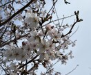 お話聞くのが大好き2日間限定彼女なります 私だけに教えて欲しい！嬉しいことも悲しいことも全部 イメージ1