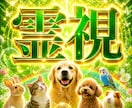 アニマルコミュニケーションで本音と気持ちを視ます 【即鑑定】愛する我が子との会話＊今の想いを受け取り対話します イメージ1