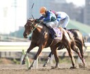 競馬【馬券軸】あぶり出し予想法おしえちゃいます ワイド、3連複、軸を定められないあなたへ イメージ1