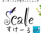 爬虫類に関する飼育の仕方や立ち上げ方等お教えします 爬虫類専門店が飼育の仕方や立ち上げ方等をアドバイスします！ イメージ1