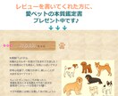 愛犬に関するあらゆるお悩み、専門的に回答いたします ！返信ボリューム◎　ポイント消化にも♪ イメージ2