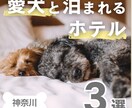 Instagram|インスタ用投稿テンプレ作ります コスパ最強！！先着5名まで特別価格でご提供！ イメージ2