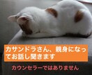 カサンドラさんの心に寄り添います 悩み、愚痴、お聞きします。アプリ通話限定 イメージ1