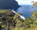 ハワイ島の大自然や動物たちの写真をお届けします 海外旅行に気軽に行けない現在、現地の旬の風景をお届けします イメージ8