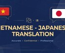 ベトナム語⇔日本語の翻訳ます ビジネス文書を自然な文章に翻訳します イメージ1