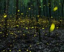 あなたの暦にある宿命とその使い方をお伝えします 宿命と運命は違います。両方を知って未来を変えましょう！ イメージ2
