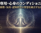 プロヒーラー向け・心身の自己調整をします 情報空間の防衛・聖域の光技術伝授講座 イメージ2