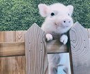 あなたのお話聞きます 日常の愚痴から、相談、恋愛話、なんでもお話聞きたいです！ イメージ1