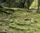 お悩みを聞きます 癒し系のガチムチおじさんが聞き手になるよ。 イメージ1