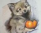 色鉛筆で描いたペットの肖像画を原画でお届けします 犬・猫・鳥・爬虫類・魚類・昆虫など種類は問いません イメージ2