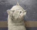 ペットのお写真から油絵作品を制作します 細密描写によるリアルで可愛い作品をお届け イメージ10