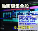高品質、スピード納品、修正無制限で動画編集承ります 修正も無制限！！YouTubeなど始めたてを応援！ イメージ1