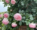 2日間あなたの心にメールで寄り添います ちょっと誰かに話したい！お気軽にお待ちしています。 イメージ1