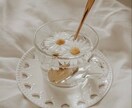 あなただけの心の居場所を一緒に造ります 女性限定☆秘密厳守☆あなたの時間とお金を大切に心がけます！ イメージ5