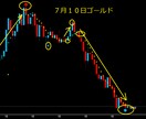 FXで専業しておりますデイレ－ドになります リニューアルいたしました、ゴールド専用です イメージ8
