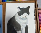 溺愛されている「ペット」の写真を可愛く描きます 駆け出しイラストレーターによる、全力イラスト イメージ1