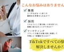 お試し版！！TikTokをゼロからスタートします まずは1本から、TikTok運用の効果を体験してみませんか？ イメージ2