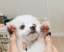電話が苦手な方、チャットでお話聞きます どんな貴方も受け入れます♡今日あった出来事を聞かせてください イメージ3