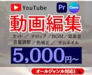 YouTubeの動画編集承ります ジャンル問わず丁寧に編集！仕上げさせていただきます！ イメージ1