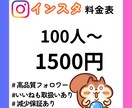 インスタの日本人フォロワーを増やしますます インスタ　日本人　フォロワー100人増加 イメージ1