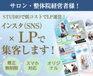 SNS×LPの相乗効果で新規顧客を獲得します あなたの整体院・サロンの集客力を飛躍させる！ イメージ1