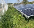 産業用低圧太陽光発電所の除草作業を行います 年3回、都度写真報告付きなので安心です イメージ5