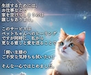 ペット専用☆愛するペットの心と体を癒します 寂しい思いをさせてる…ペットが亡くなった…更なる愛を送ります イメージ9