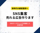 売れるSNS広告作ります プロのマーケターによるSNS集客 イメージ1