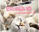 写真加工します 大切な記念日、その日の思い出を一枚の画像として残します イメージ1