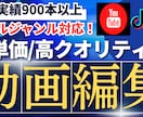 制作実績900本超！プロの編集者が制作します 大企業・大手YouTuber担当編集者のクオリティを提供！ イメージ1