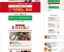 売れるデザインをご提供します ／情報を的確に伝えるLPでお客様に貢献！ イメージ9