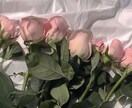 現役心理学生にLINE感覚でご相談いただけます 心の悩みから暇つぶしまでお話しを聞かせていただきます！ イメージ1