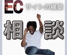 ECサイト構築検討をしている方の相談のります 【特典】相談者様には開始までに必要なTo doリストを送付 イメージ1