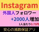 Instagram外国人フォロワー増やします 多国籍のフォロワーを2000人増やします！ イメージ1