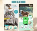 高品質なInstagram広告・投稿画像制作します 思わず目に止まる訴求力の高いMeta広告の制作が得意です！ イメージ2