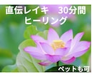 直伝レイキ⭐︎遠隔ヒーリング30分します 癒しの波動を送ります⭐︎心と体を整えます⭐︎ペットも可 イメージ1